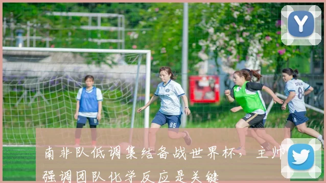 南非队低调集结备战世界杯，主帅强调团队化学反应是关键 - 足彩网图集