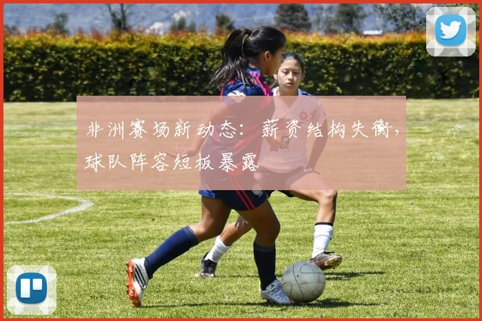 非洲赛场新动态:薪资结构失衡,球队阵容短板暴露 - 足彩网推荐